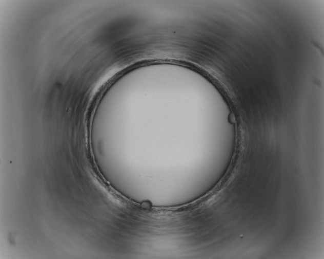 X0000103950982200809191207