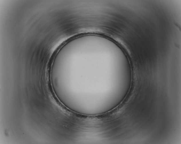 X0000103950983200809191207