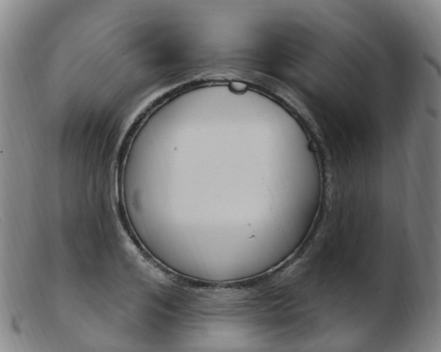 X0000103950984200809191207