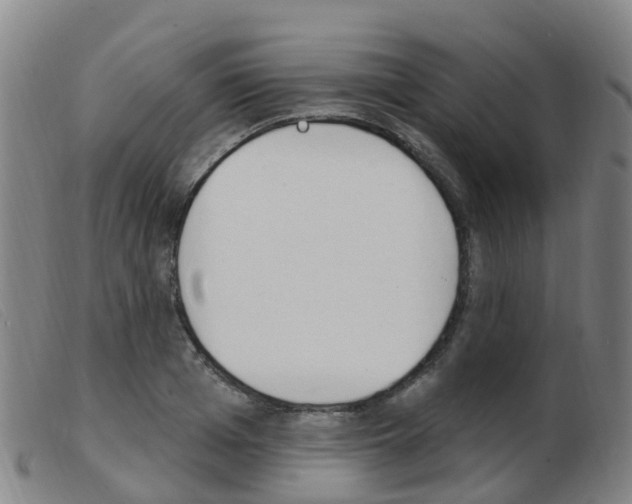X0000103950985200809191207