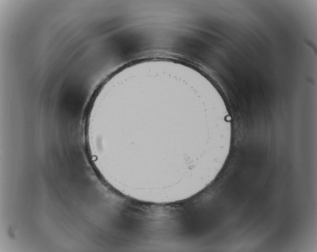 X0000103950987200809191207