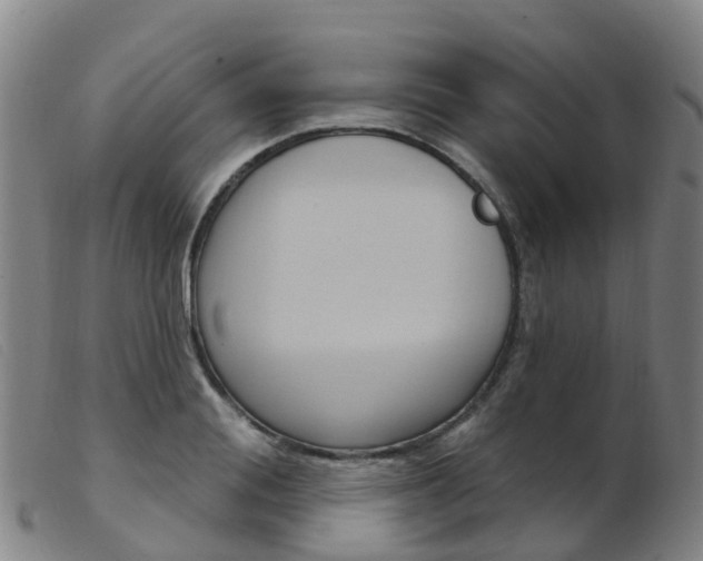 X0000103950988200809191207