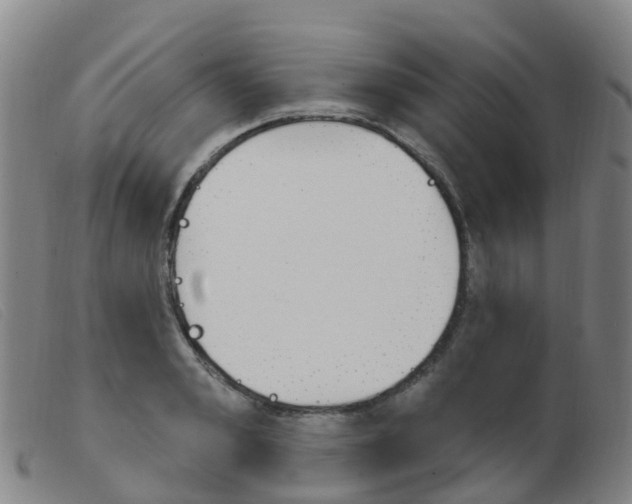 X0000103950989200809191207