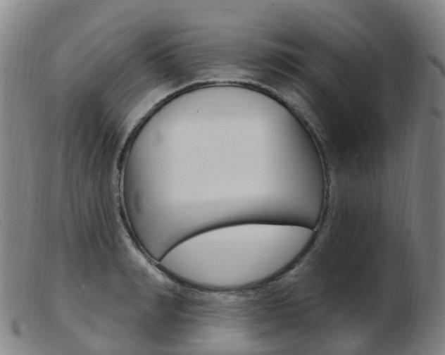 X0000103950990200809191207