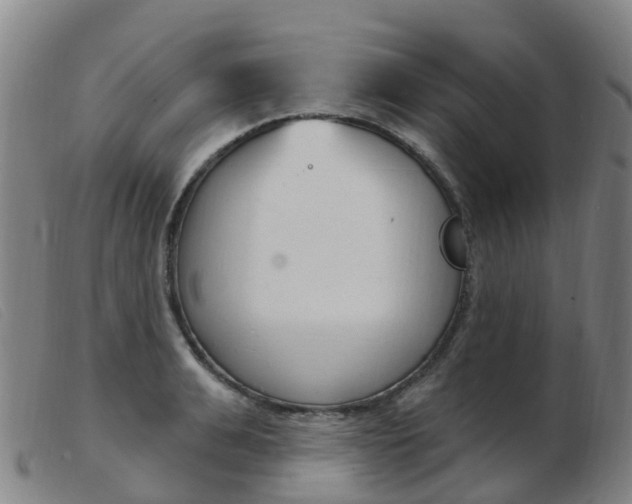 X0000103950991200809191207