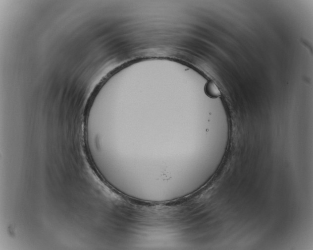 X0000103950992200809191207