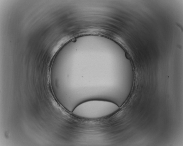 X0000103950994200809191207