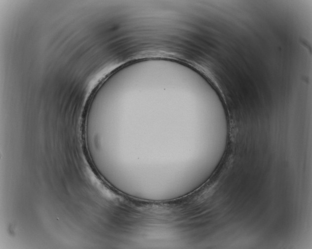 X0000103950995200809191207