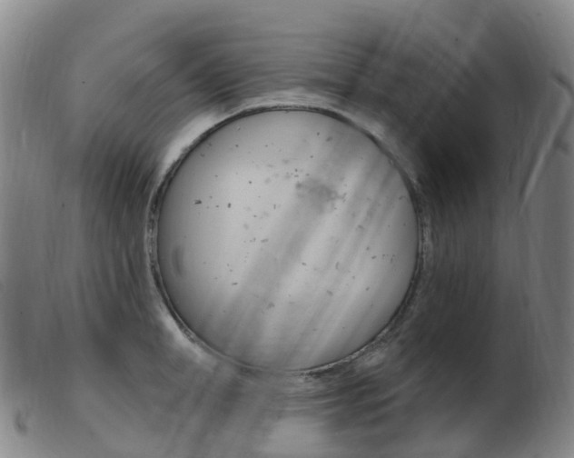 X0000103950998200809191207