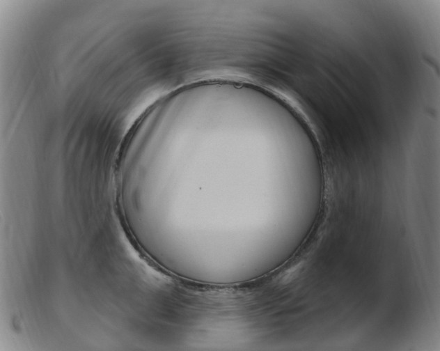 X0000103950999200809191207