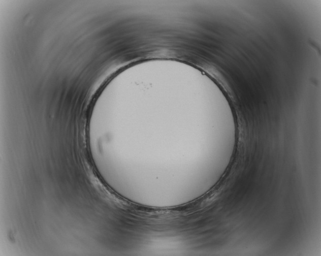 X0000103951000200809191206