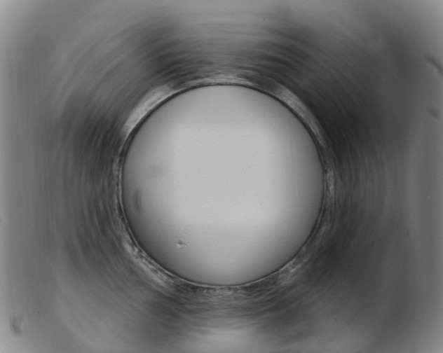 X0000103951002200809191206