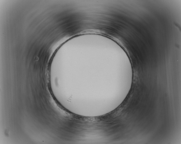 X0000103951003200809191206