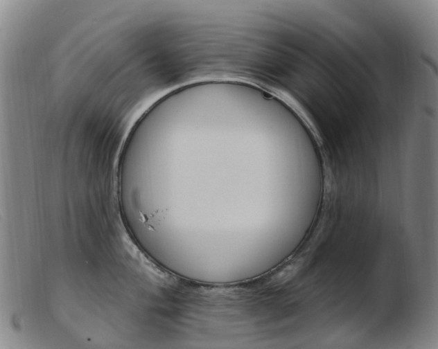 X0000103951004200809191206