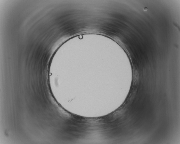 X0000103951005200809191206
