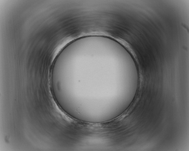 X0000103951006200809191206