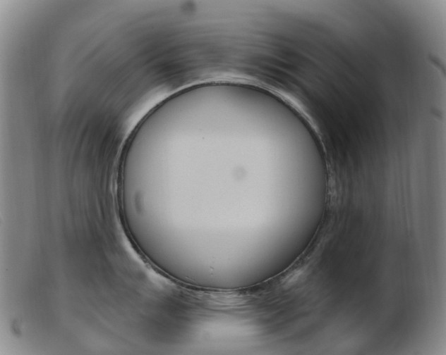 X0000103951007200809191206