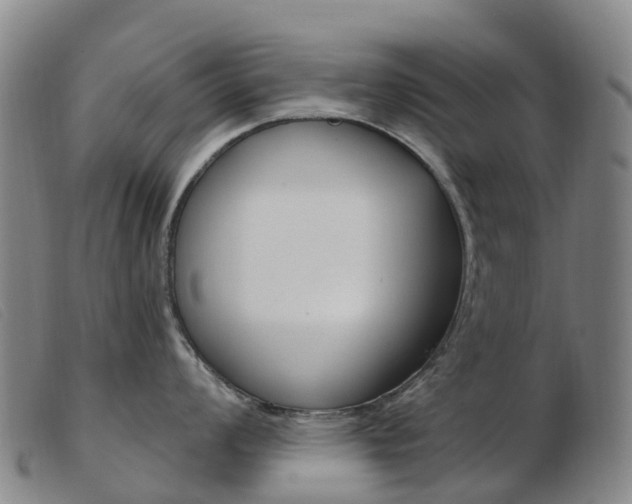 X0000103951008200809191206