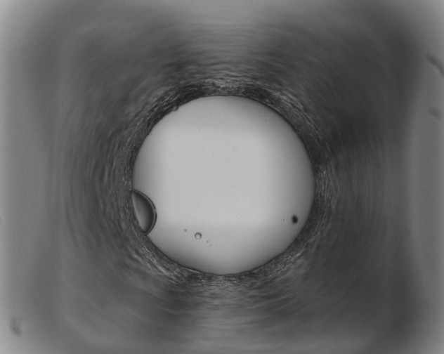 X0000103951009200809191206