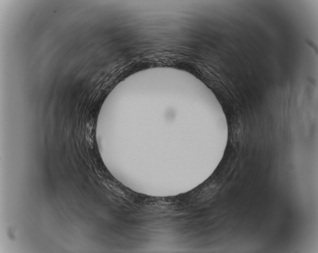 X0000103951010200809191206