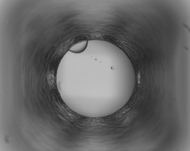 X0000103951011200809191206