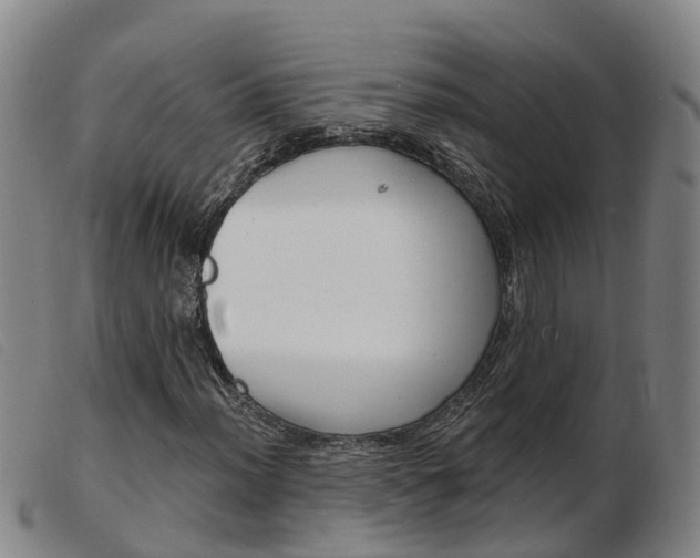 X0000103951012200809191206