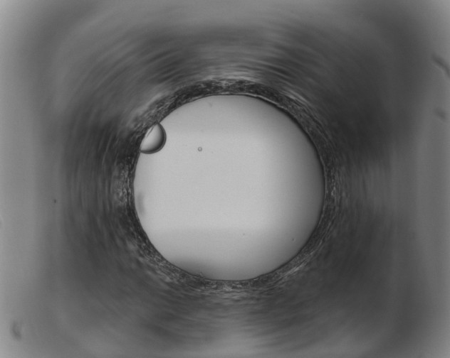 X0000103951014200809191206