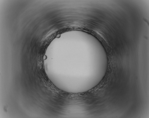 X0000103951015200809191206