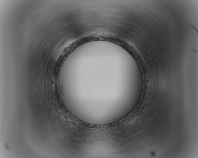 X0000103951016200809191206