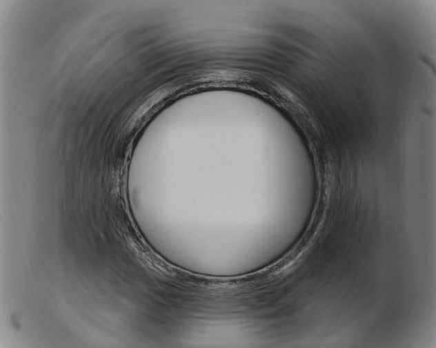 X0000103951017200809191206
