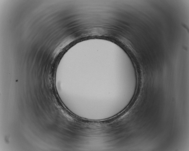 X0000103951018200809191206