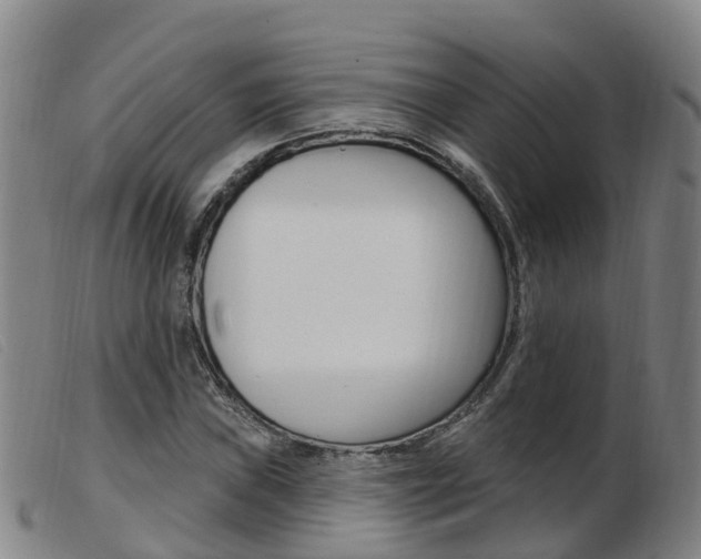 X0000103951019200809191206