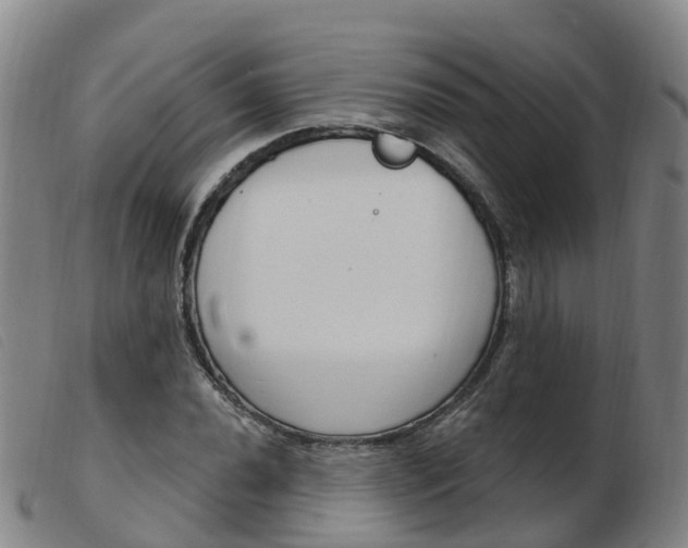 X0000103951020200809191206
