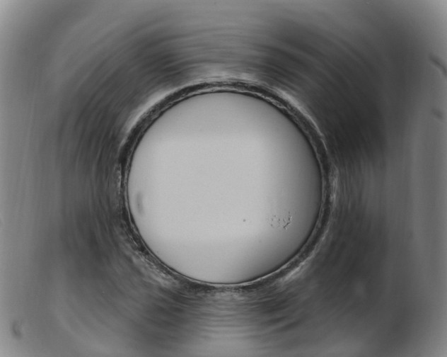 X0000103951021200809191206