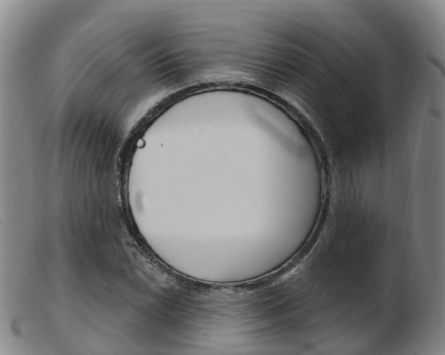 X0000103951022200809191206