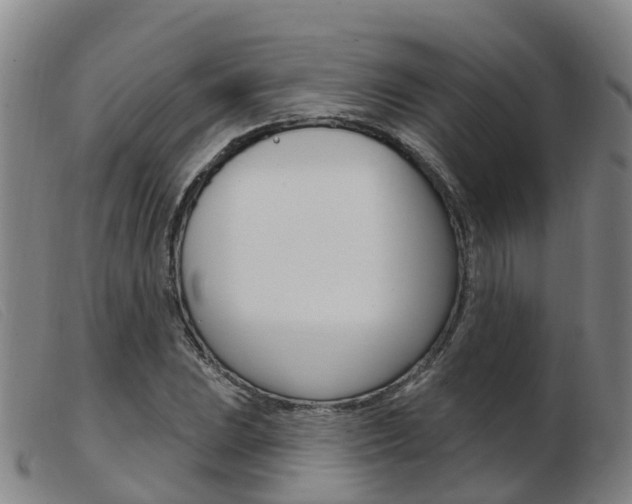 X0000103951023200809191206