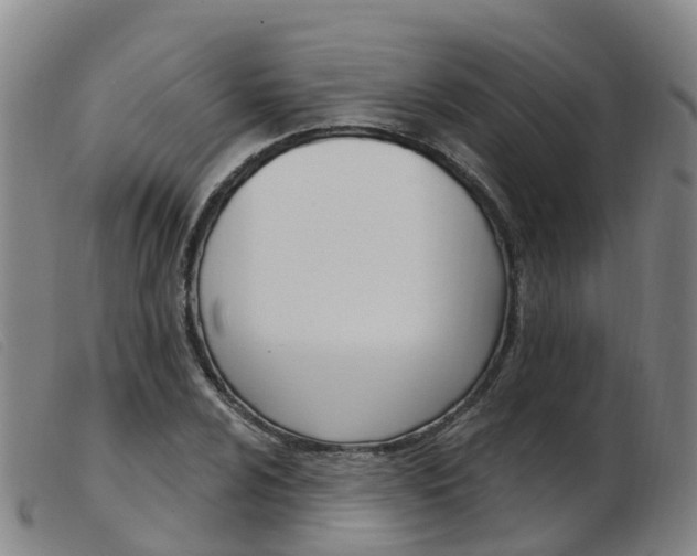 X0000103951024200809191206