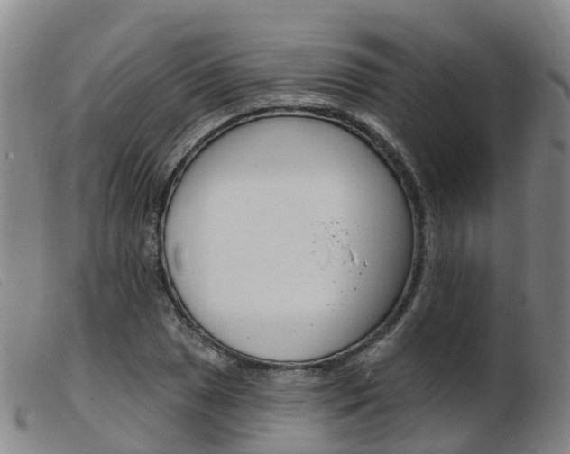 X0000103951025200809191206