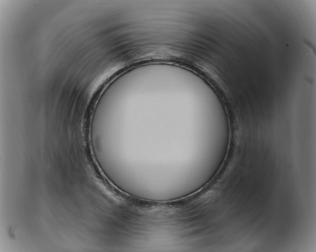 X0000103951026200809191206