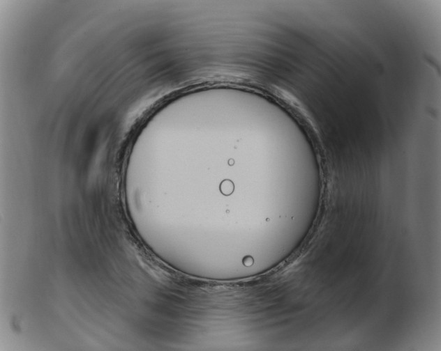 X0000103951027200809191206