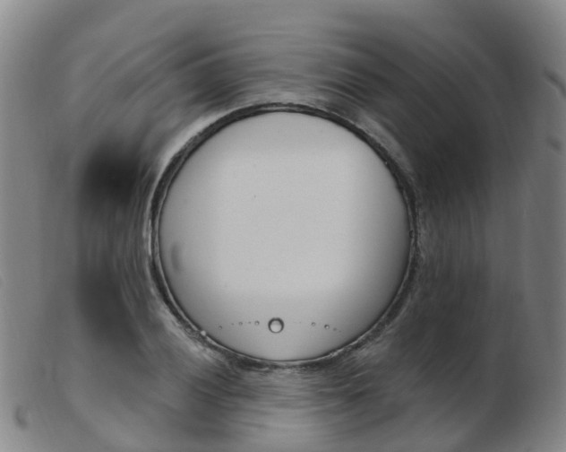 X0000103951028200809191206
