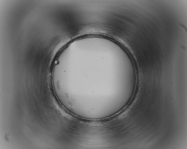 X0000103951029200809191206