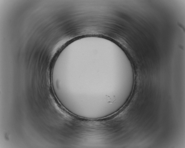 X0000103951030200809191206
