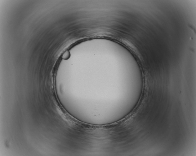 X0000103951031200809191206