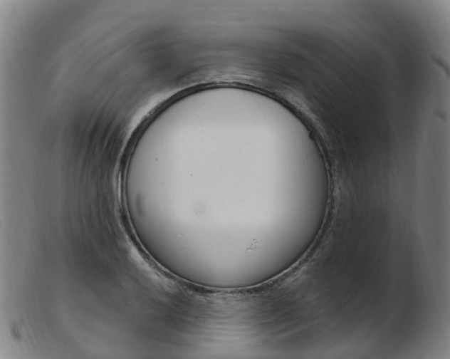 X0000103951032200809191206