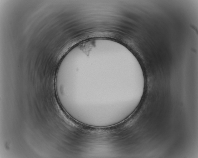 X0000103951033200809191206