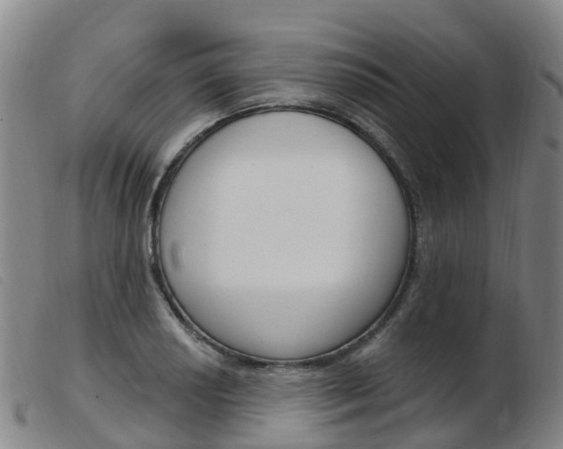 X0000103951034200809191206