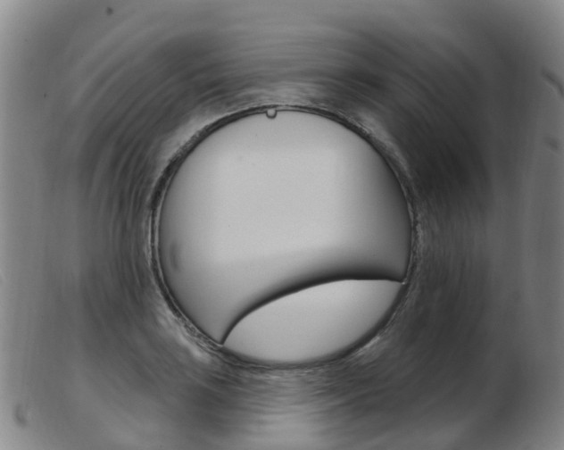 X0000103951035200809191206