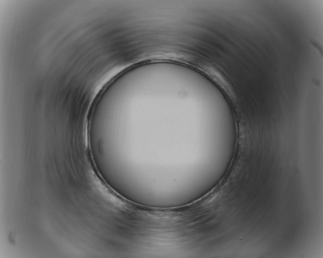 X0000103951036200809191206