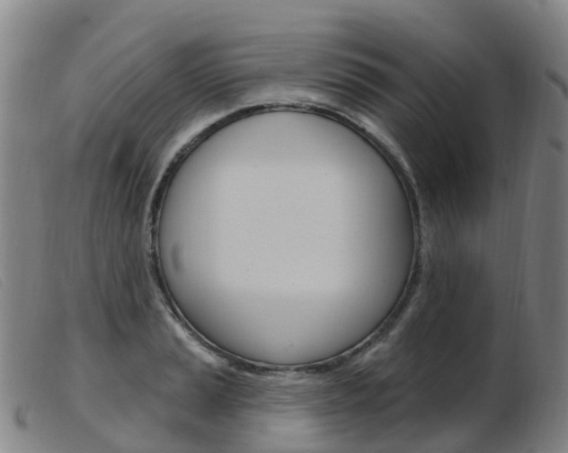 X0000103951037200809191206